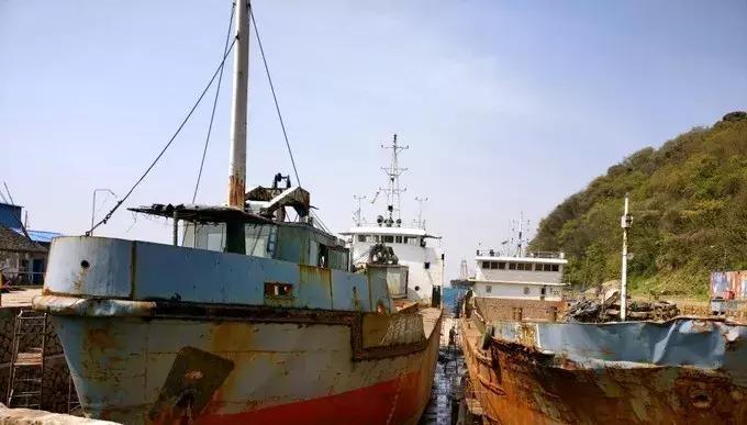 上海去桃花岛的自驾轮渡时间表,上海开车去舟山桃花岛怎么去