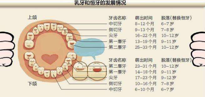 家长迟迟不肯离去老师怎么办,儿童迟迟不退牙