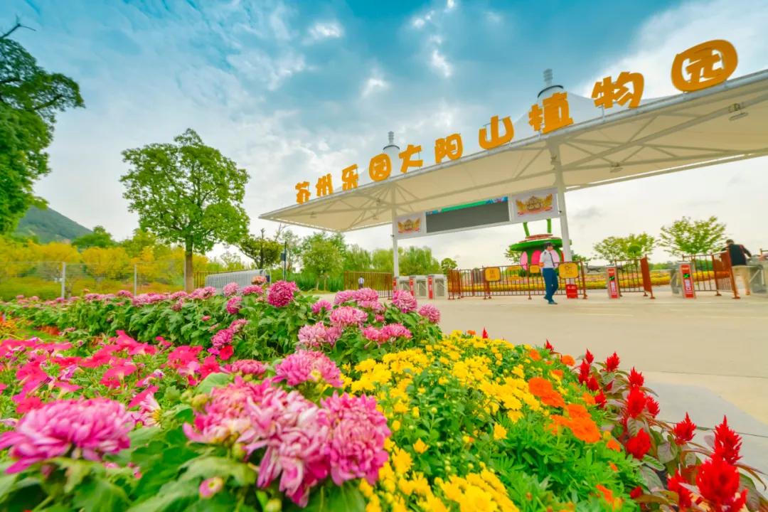 藏不住了！国庆节苏州这片花海美哭了！大人小孩玩到不想走