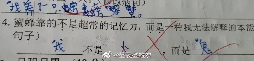 “即使爸爸再忙，也会抽空看美女。”看了娃造的句我笑到打鸣