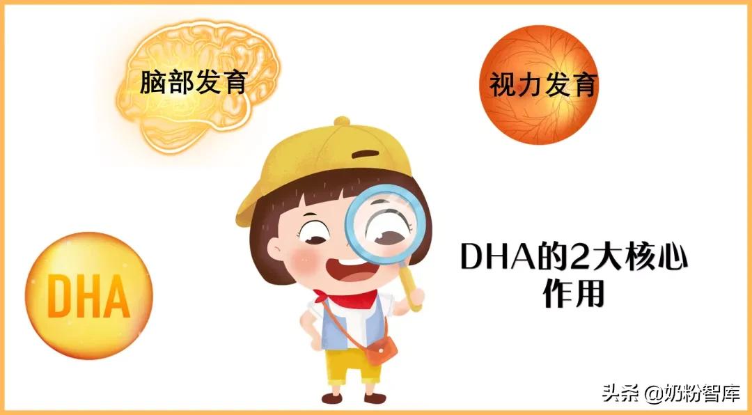 现在流行吃dha到底有没有效果,dha怎么选择主要看什么成分