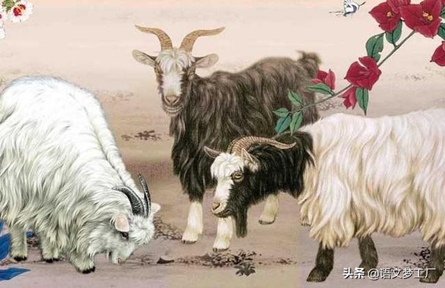 十二生肖成语大全带图片,十二生肖成语之生肖篇