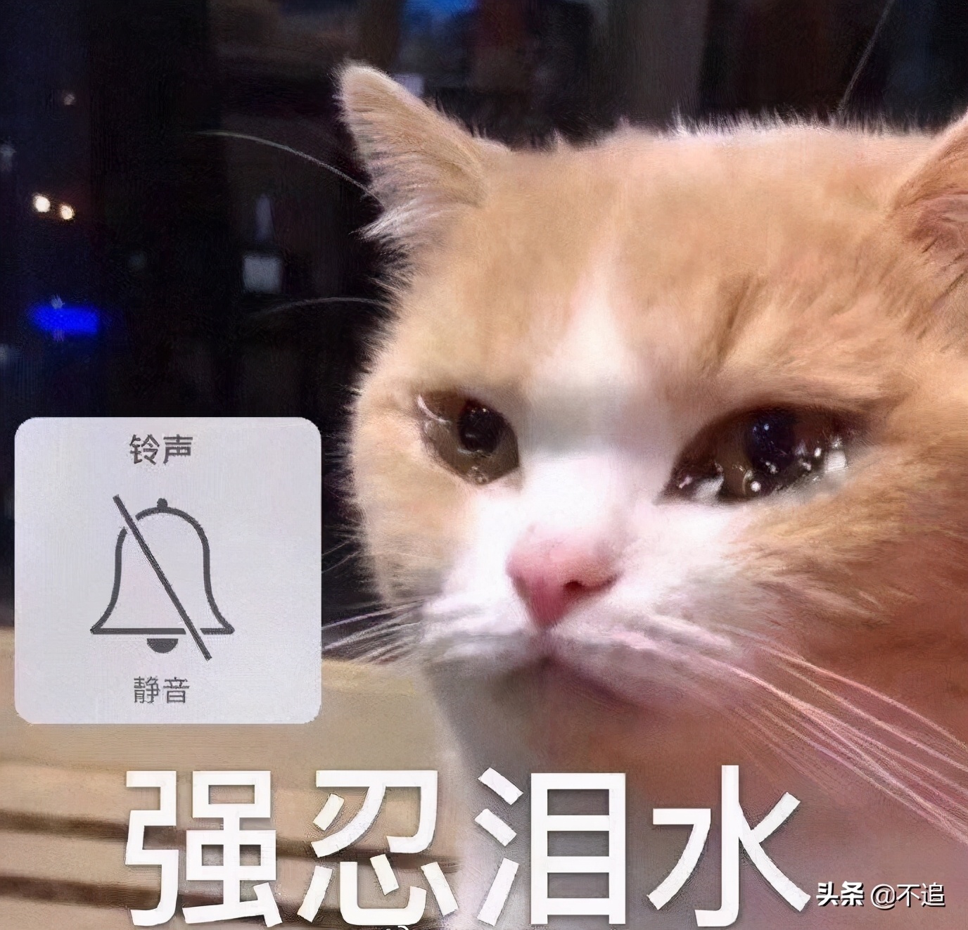 适合唇炎的唇膏真实测评,个人觉得网红唇膏反而很好用