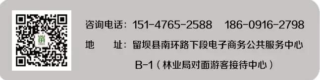 长沙淘宝店铺注册条件及流程要求,蓬莱淘宝注册店铺流程