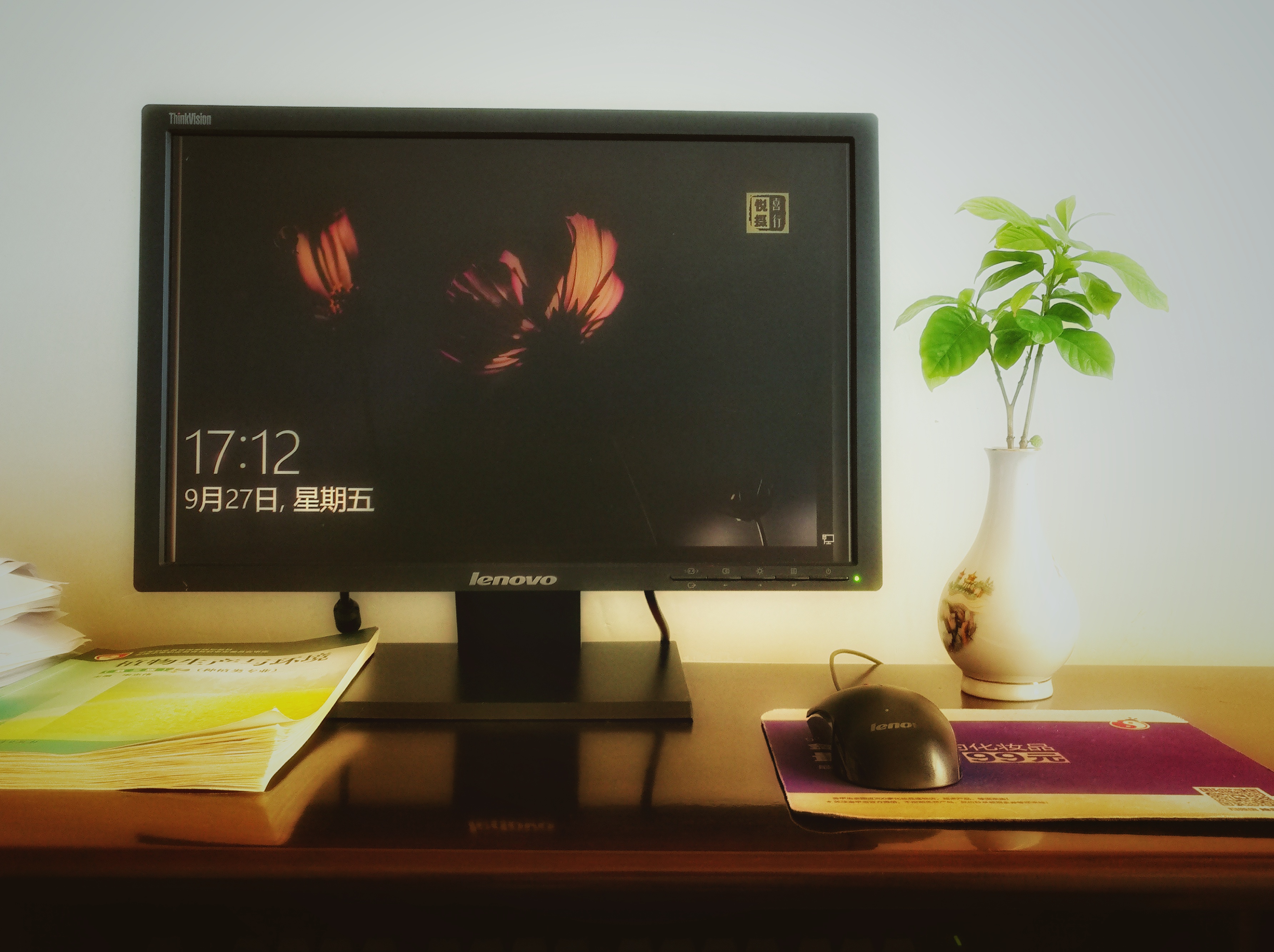 栀子花开败了以后要怎么养,土养栀子和水养栀子