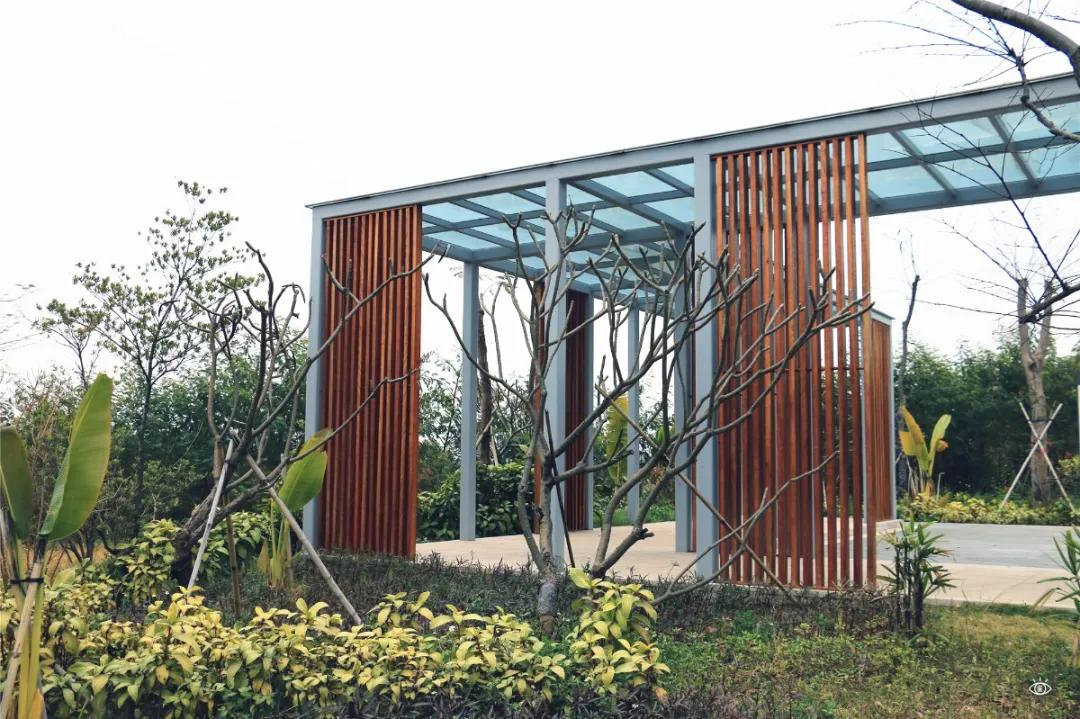 深圳哪个地方有玻璃桥,深圳玻璃桥免费开放吗