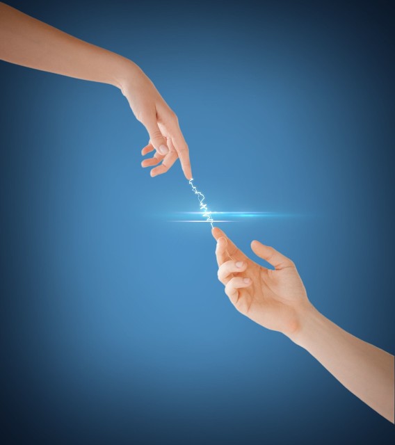 秋天的毛栗子智斗核桃夹子