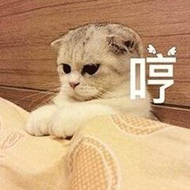 穿了就不想脱下的鞋子,穿上了就不想脱鞋子