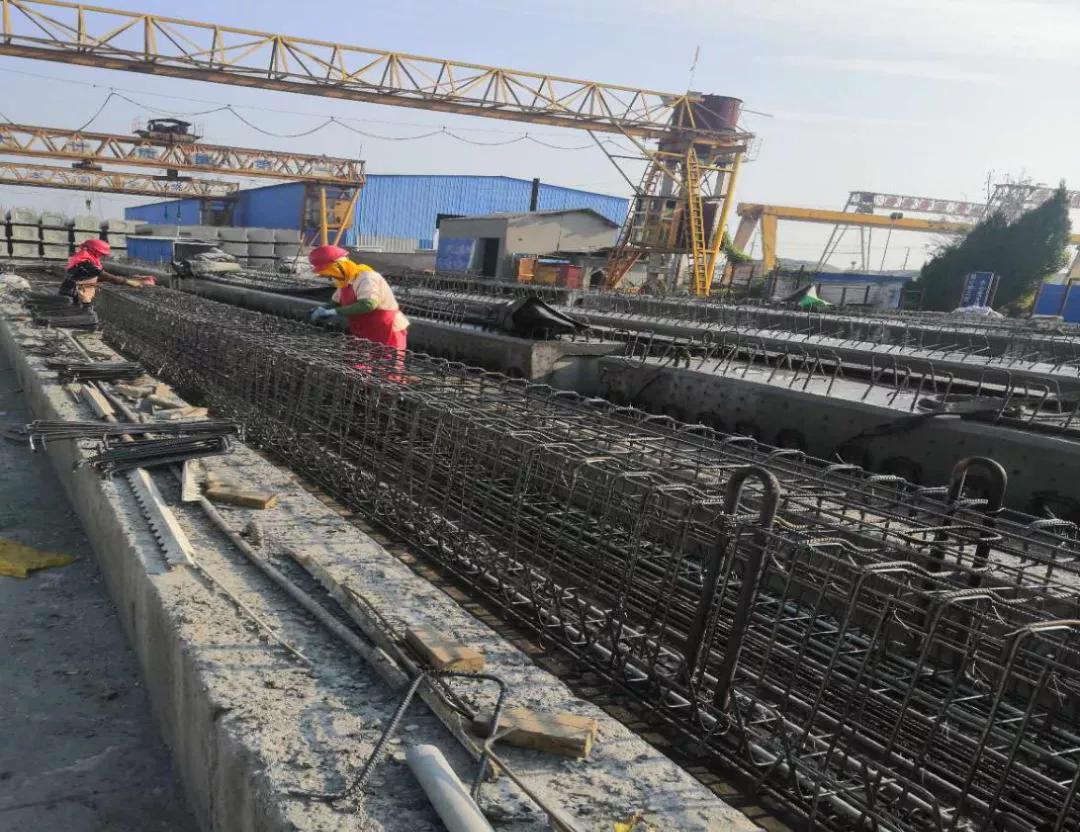 戴南镇2022年有哪些重大项目开工,戴南迎宾大道改造