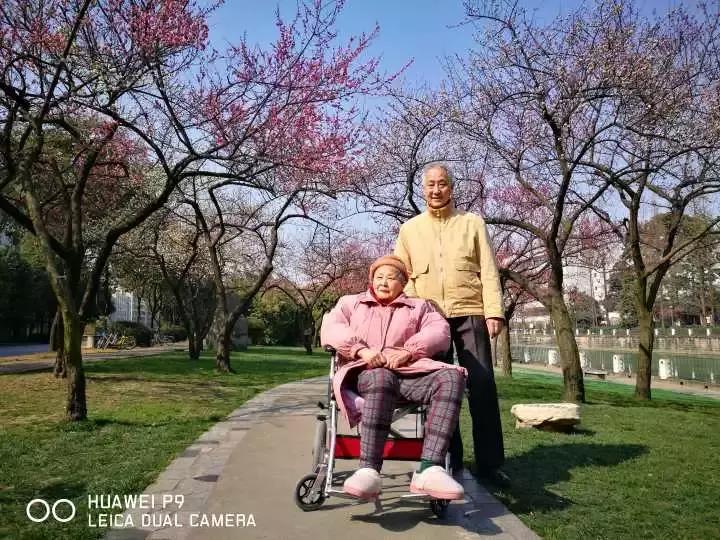 3月底天府绿道哪段最美,天府绿道介绍及特点