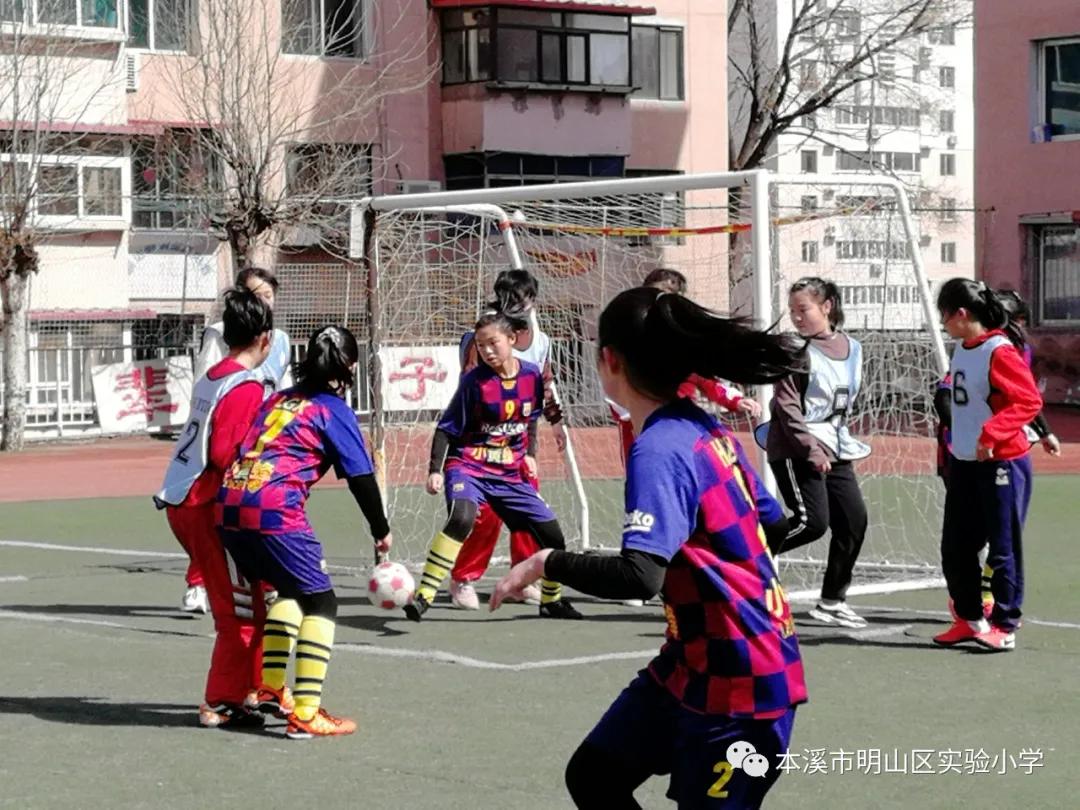 本溪市溪湖区小学生足球联赛,本溪市小学足球联赛视频