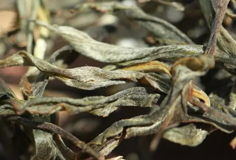 十大古树普洱茶排行榜最新,古树最好的普洱茶