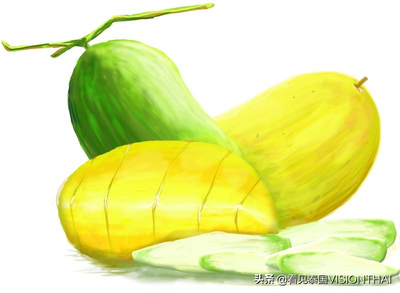 泰国榴莲和山竹果园,泰国水果山竹芒果