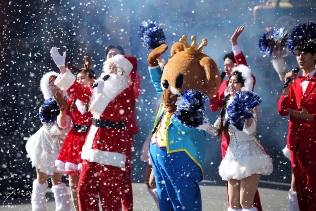 济州岛应该冬天去还是夏天去,冬日济州岛怎么玩