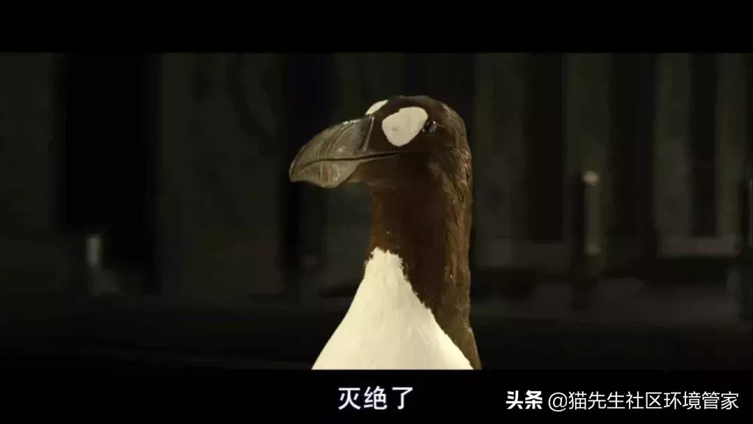 疯狂的裸体彩绘|这世间事十有八九都与垃圾分类有关