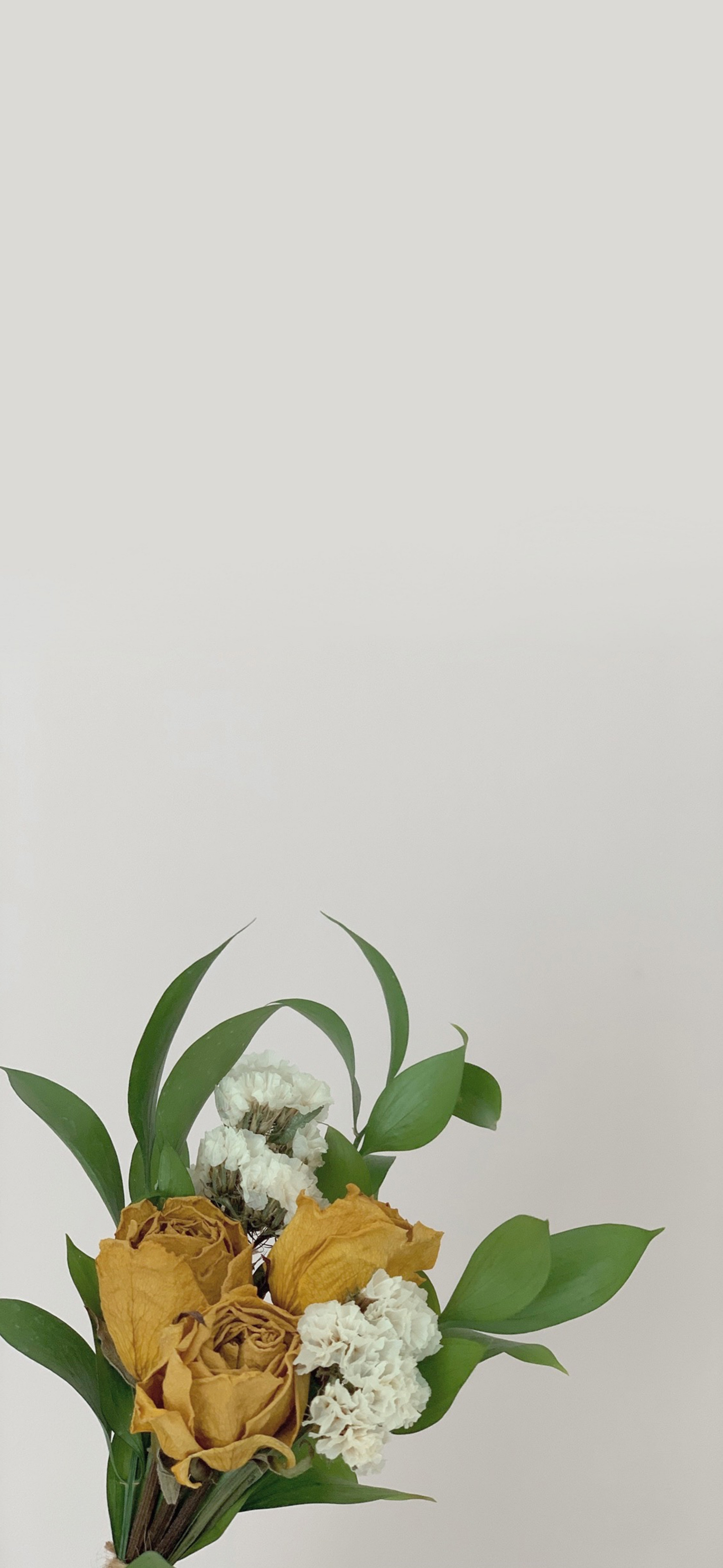 清晰到极致的手机壁纸图片,高清壁纸超清手机壁纸