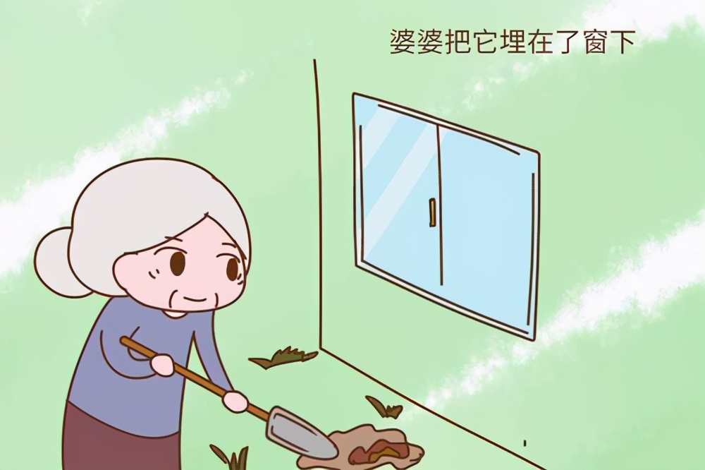 生完孩子的胎盘怎么处理比较好,生完孩子一般的胎盘怎么处理