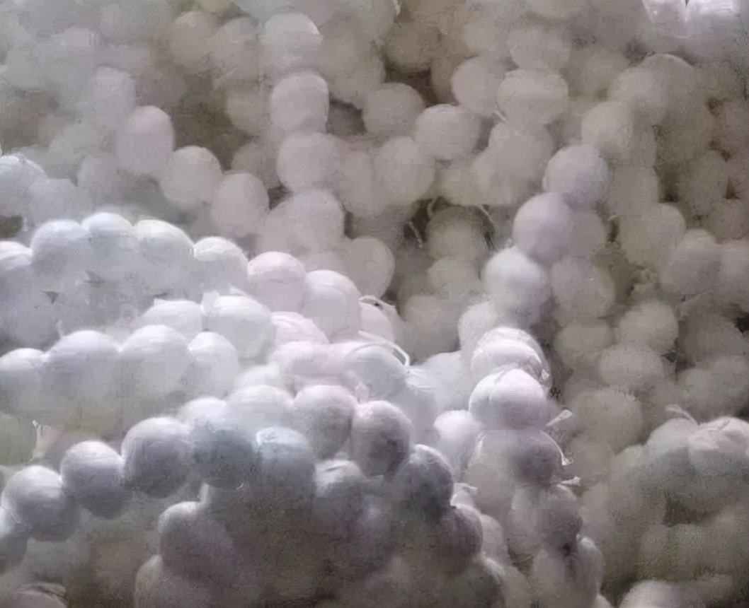 污水处理厂填料的分类与选择ppt,各种填料在污水处理中的使用