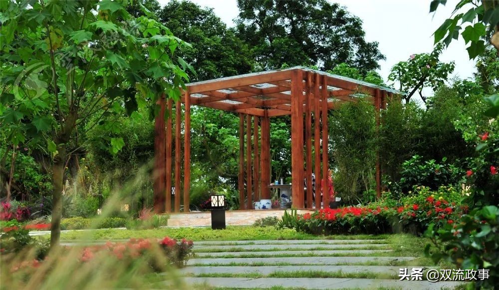 成都双流最美公园,公园城市的美