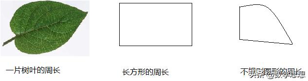 周长的认识大单元教学,周长的认识三年级