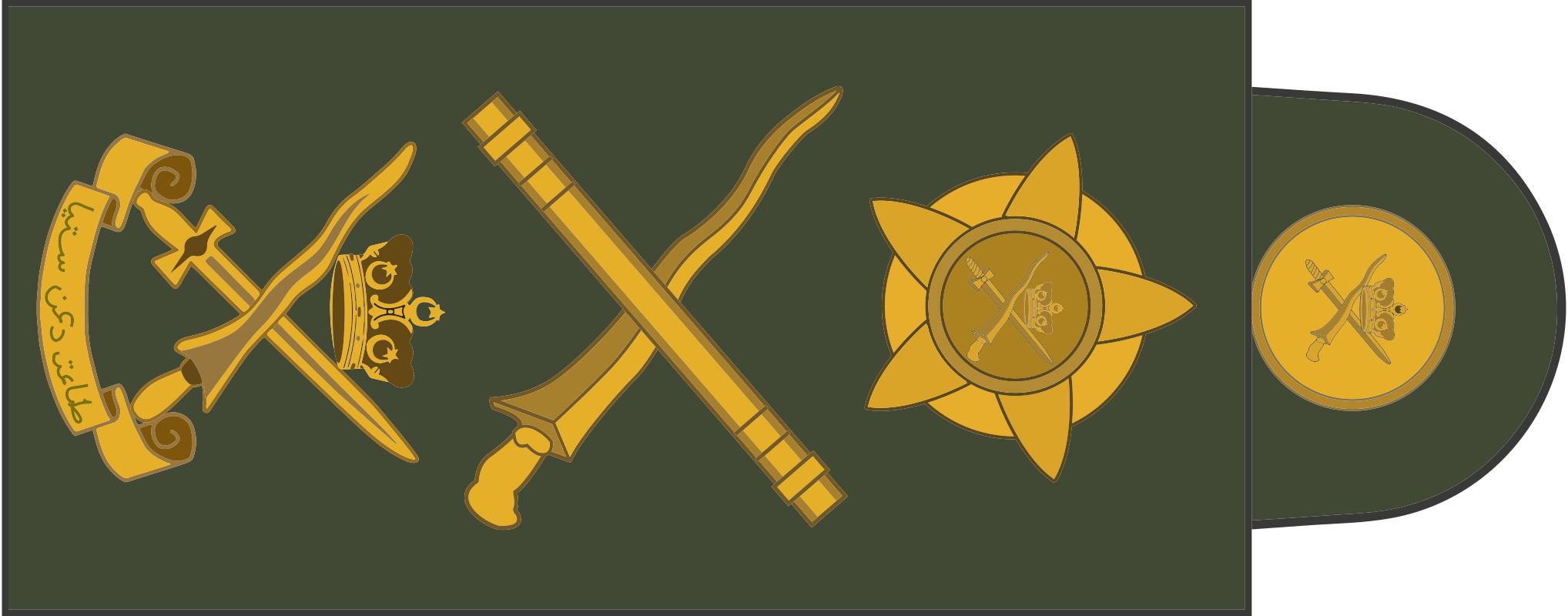 各国军衔标识韩国,马来西亚军衔等级对照表