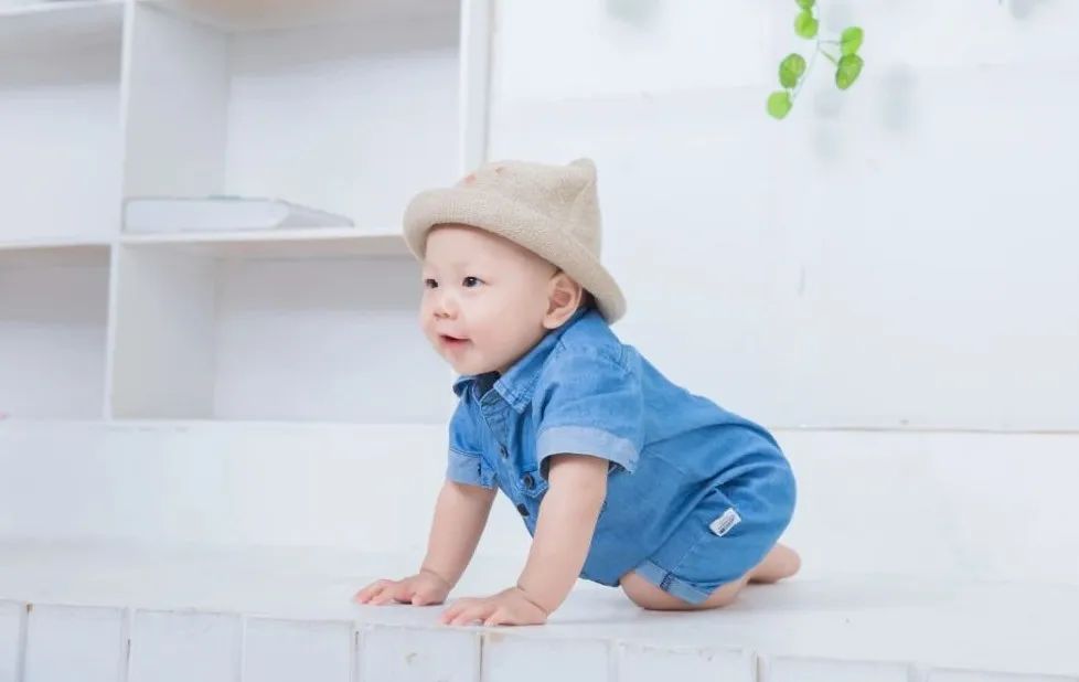 呱呱2-8岁启蒙,呱呱教培