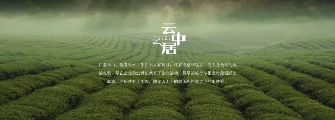 一分钟了解都匀毛尖,都匀毛尖有什么好处