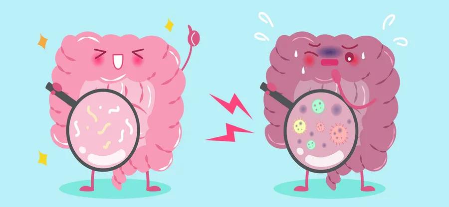 疯狂繁殖的大肠杆菌,顽固肠道细菌