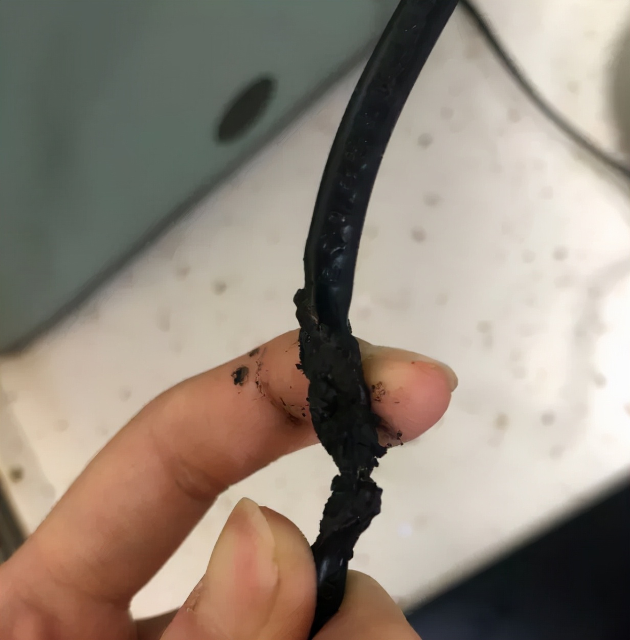 小熊电器国产,小熊电器评测