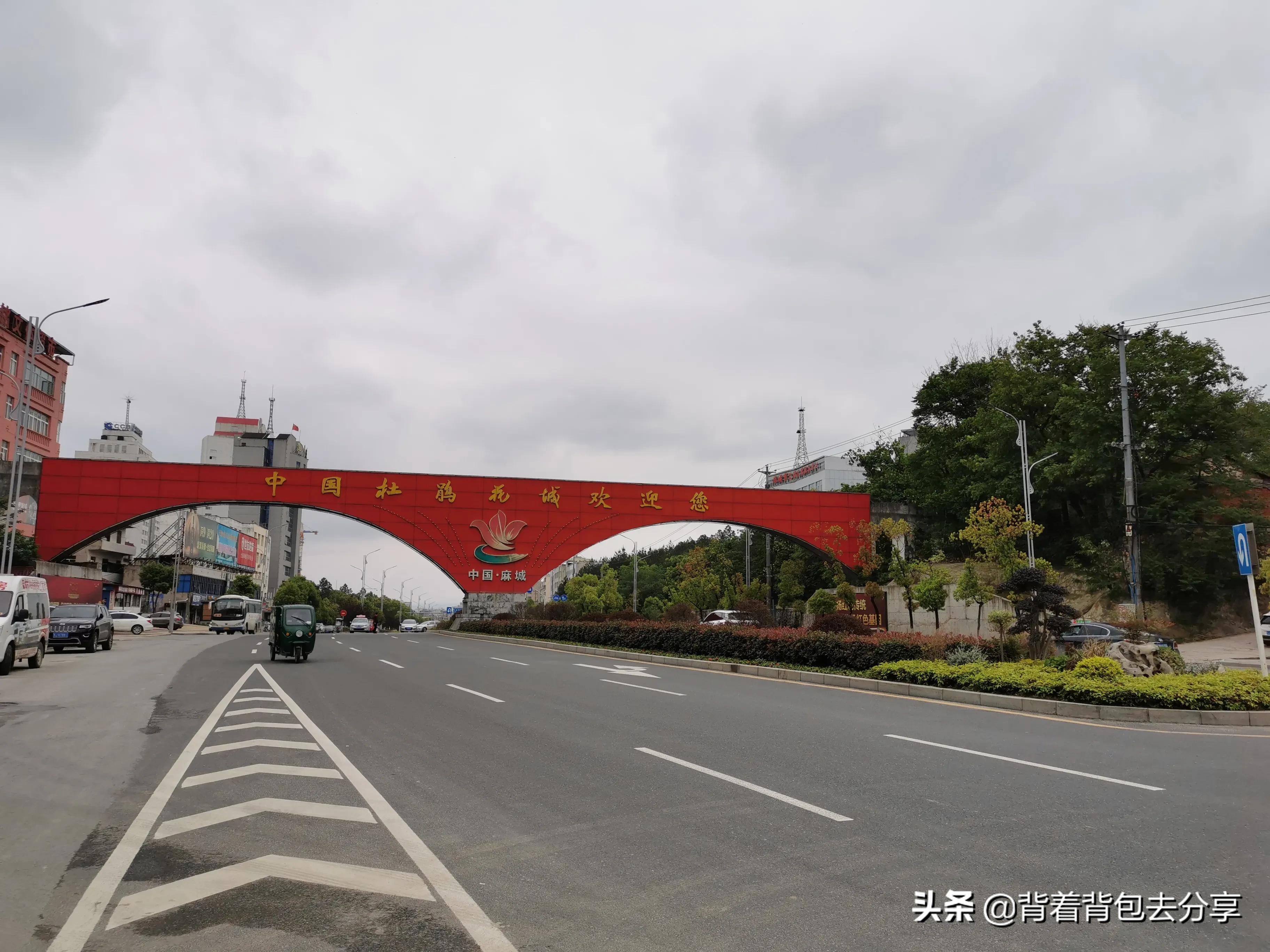 麻城看杜鹃花攻略,去麻城看杜鹃攻略