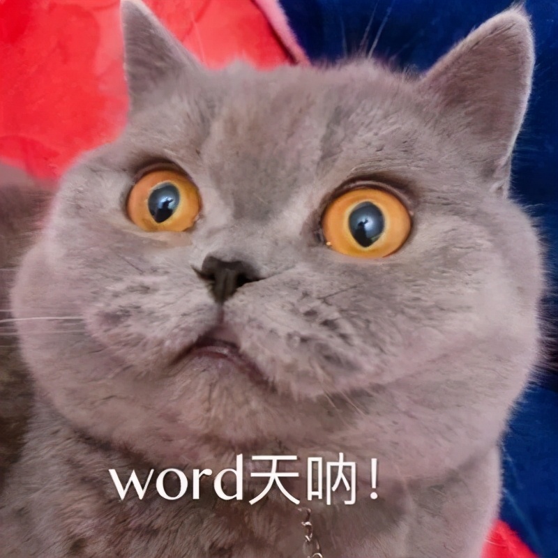 吴昕我家那闺女熬夜吃保健品 (拜托了冰箱吴昕都吃什么保健品)