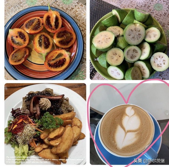 「萨堡儿」初识奥克兰-------新西兰记行之一