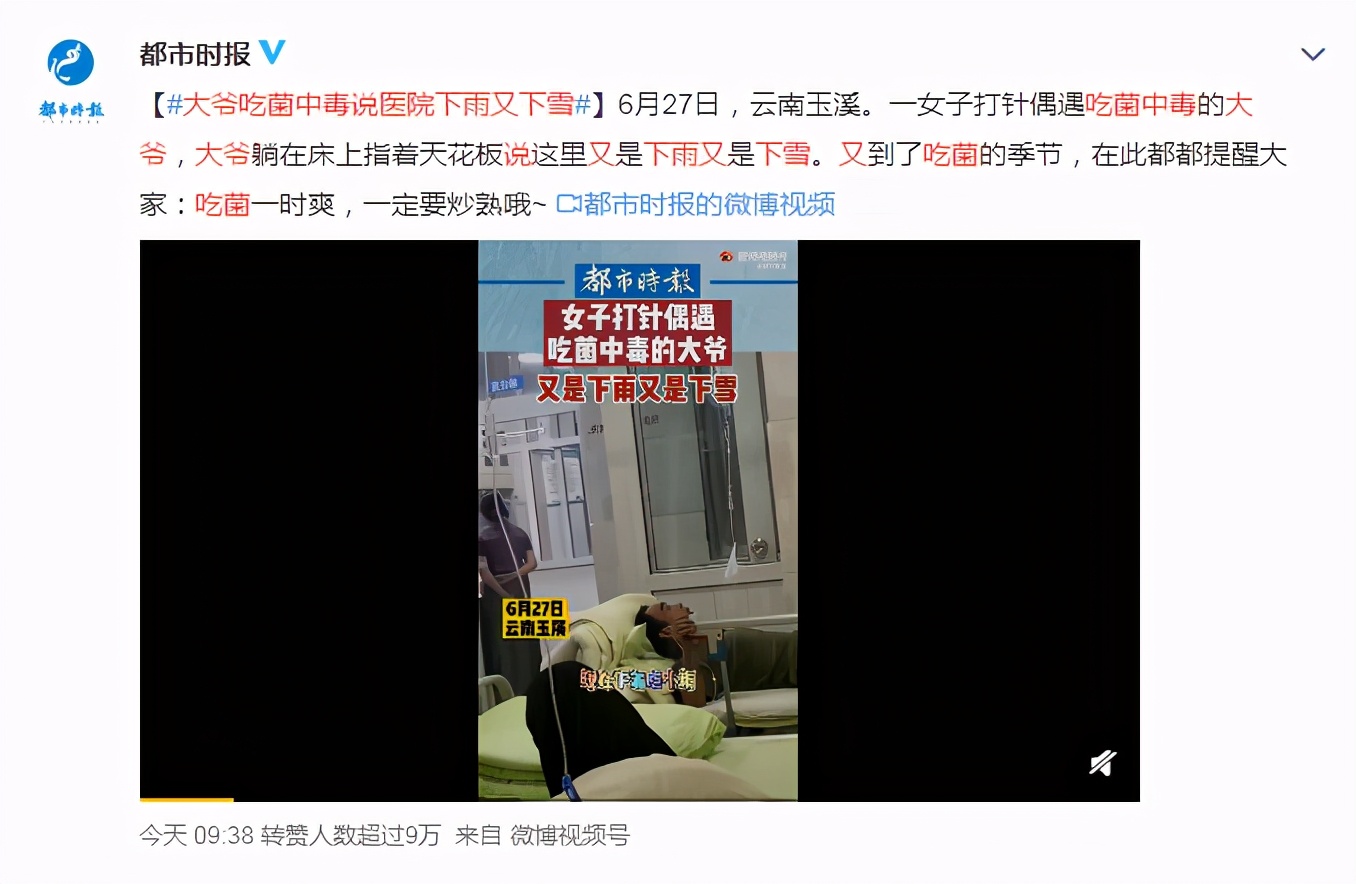 云南试毒大赛,又到了一年一度试毒的季节了