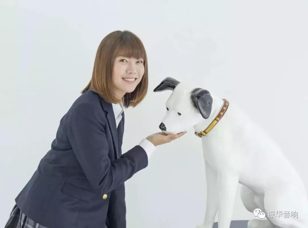 胜利狗牌简介,胜利公司唱片发展史