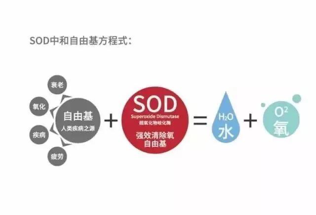大宝sod蜜抗氧化能正确使用方法,大宝sod蜜抗氧化100毫升价格