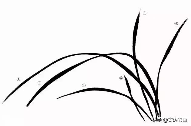 徐湛国画兰花技法教学,国画兰花入门技法