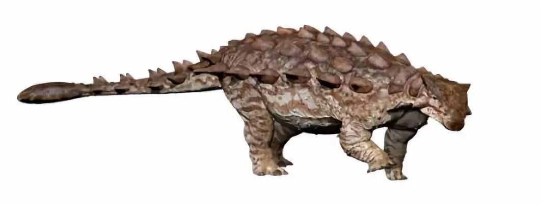 中国的最强恐龙是什么恐龙,中国已发掘的最大恐龙叫什么恐龙