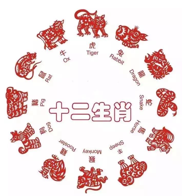 猪年合适带什么珠宝,狗年今年佩戴什么手串