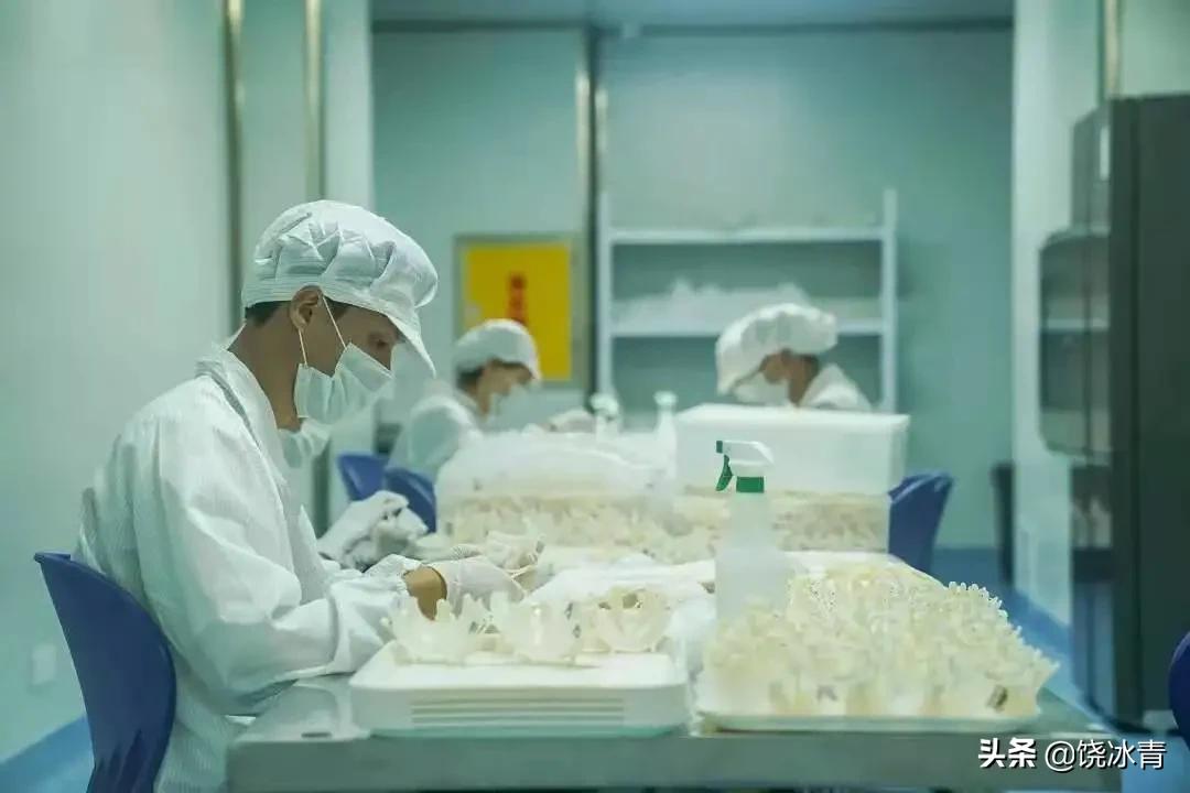 燕窝到底有多坑,燕窝是不是坑人的