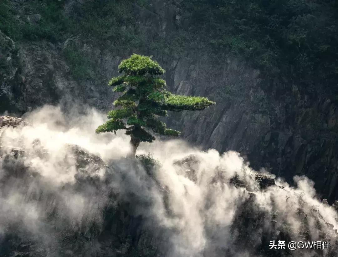 上海世茂深坑酒店建造过程,上海深坑酒店世界建筑奇迹