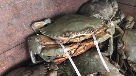 广州海鲜天堂介绍,广州黄沙有哪些海鲜