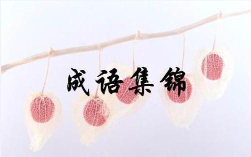 高频成语积累视频讲解,高频成语积累大全