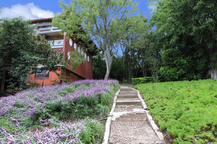 抚仙湖里的小岛,澄江抚仙湖孤山小岛怎么去