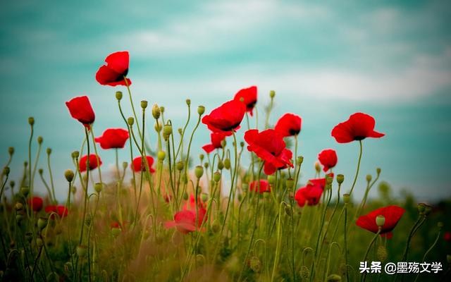 爱了谁伤了谁,受过的伤还能爱谁