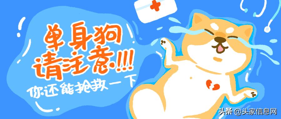 你是选择牵手还是继续当条狗，这么表白，让她感动得一塌糊涂