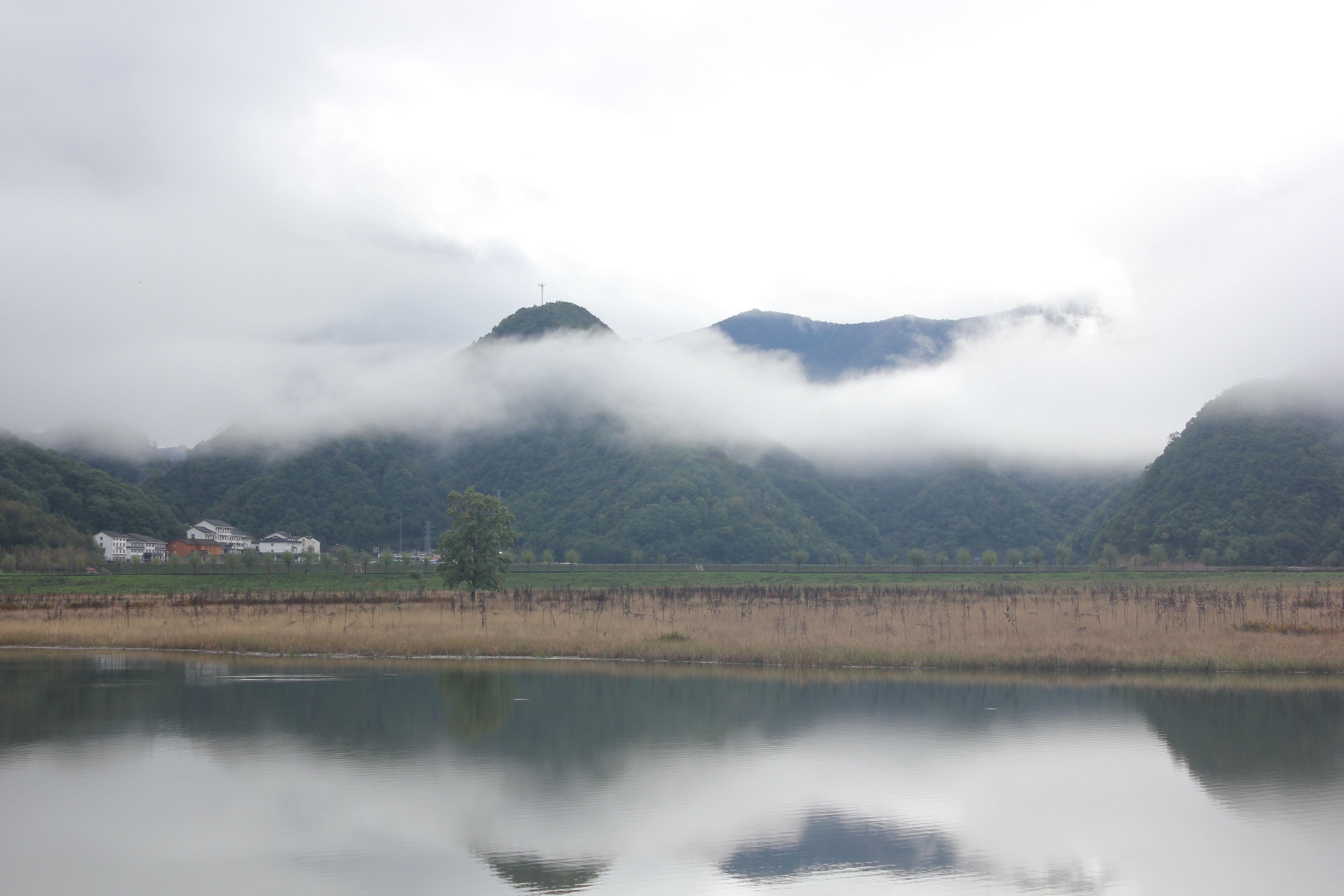 雨中神农架探秘之旅｜国庆节节武汉至神农架自驾游攻略分享