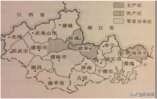 深度分析白茶市场,白茶品牌化发展道路要怎么走