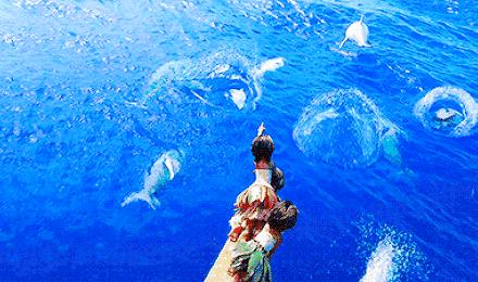 海囤全球购物流程,海囤全球商品