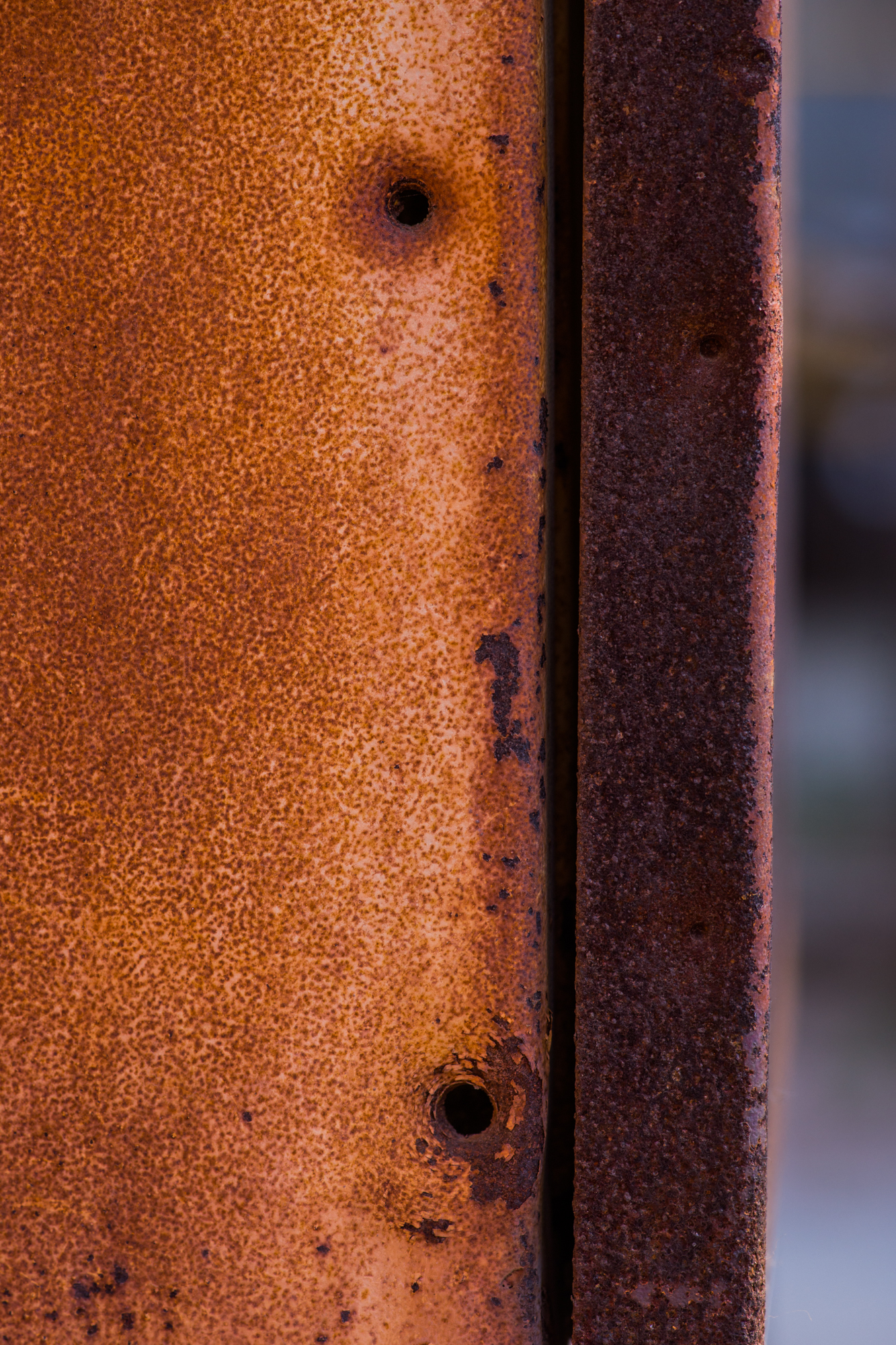 国产复合弓十大品牌,实战测试弓和弩