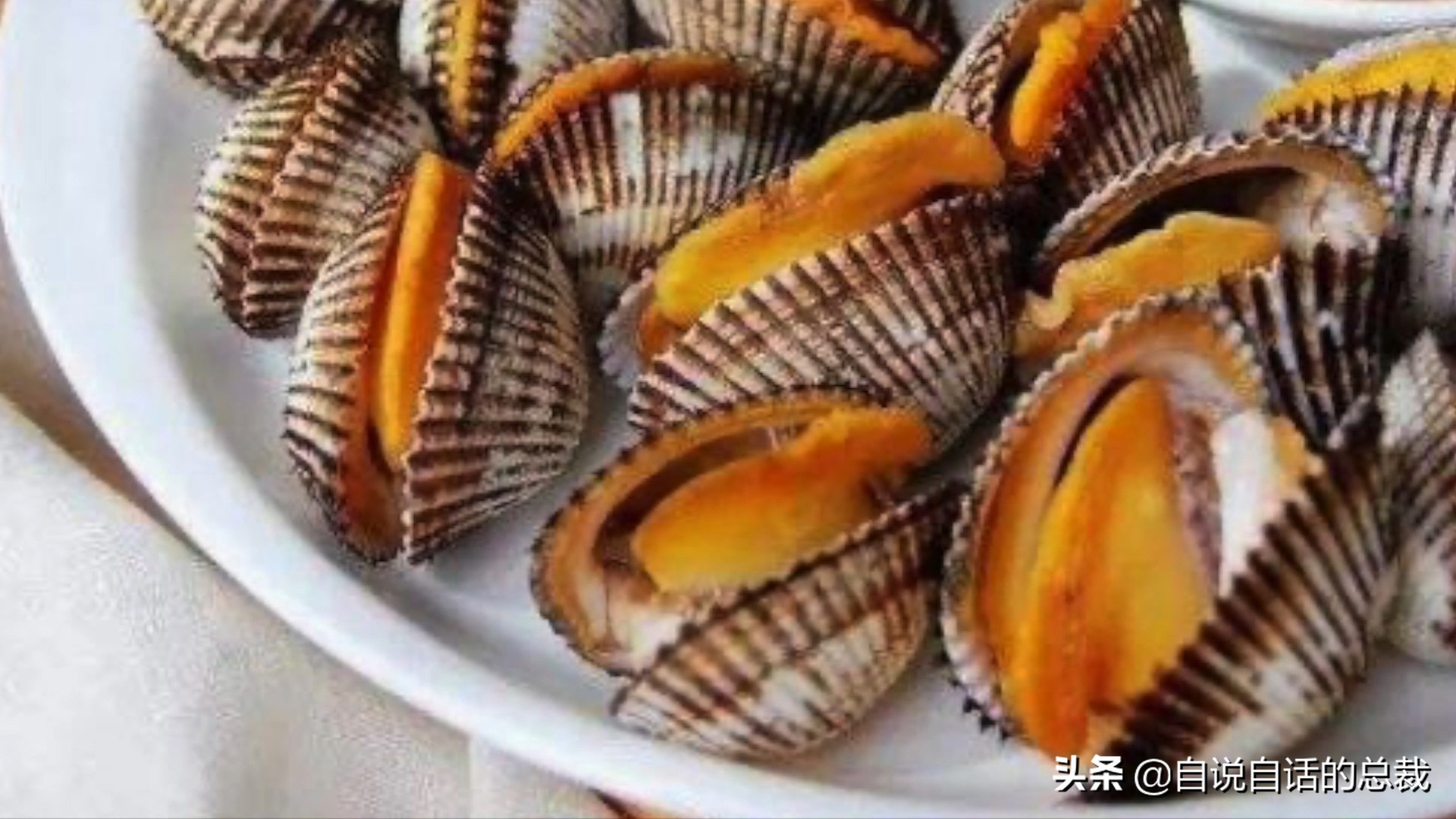 蚬蚌蛏的区别是什么,蚶子蛤蜊蚬子区别